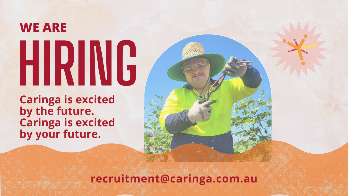 A graphic announces, "WE ARE HIRING" in bold red text. Below, it reads, "Caringa is excited by the future. Caringa is excited by your future." A circular photo features a man wearing a wide-brimmed hat, sunglasses, and high-visibility clothing, pruning plants with garden shears in an outdoor setting surrounded by green crops. The bottom text provides an email address: "recruitment@caringa.com.au." The design has warm beige and orange tones with a subtle starburst graphic in the corner.